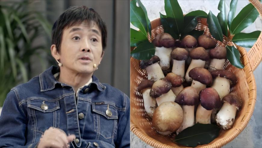 哪吒2被删减画面首公开,今日闲情每日闲情资料下一句,广泛的解释落实方法分析_尊享版V8.41